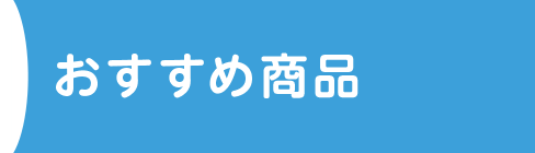 �������ߏ��i