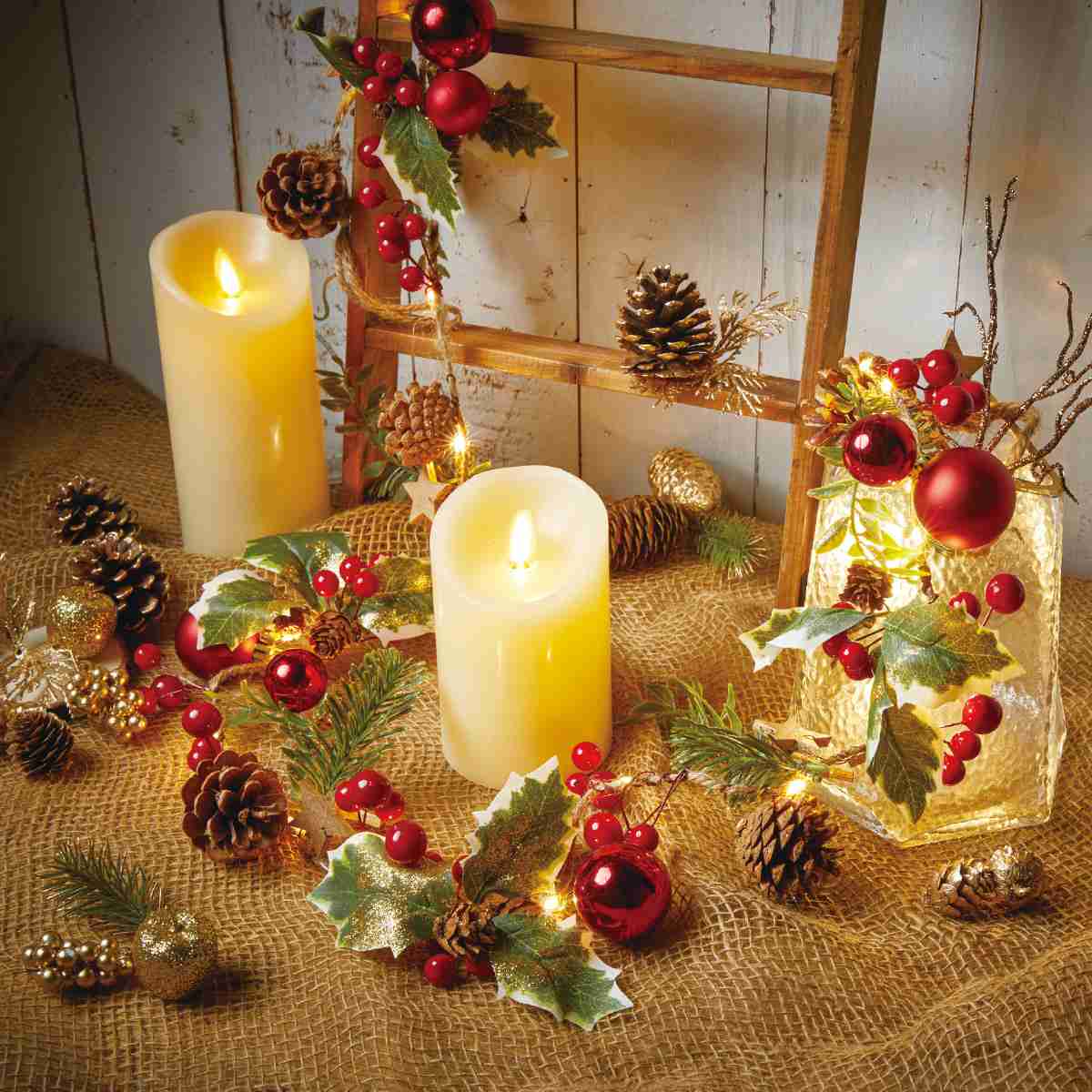 ★58-50-8-1 ミックスベリーパック レッド