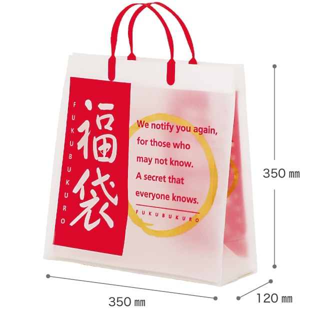 ★58-157-1-6 福袋 フロストバッグ幅35×奥行12×高さ35cm