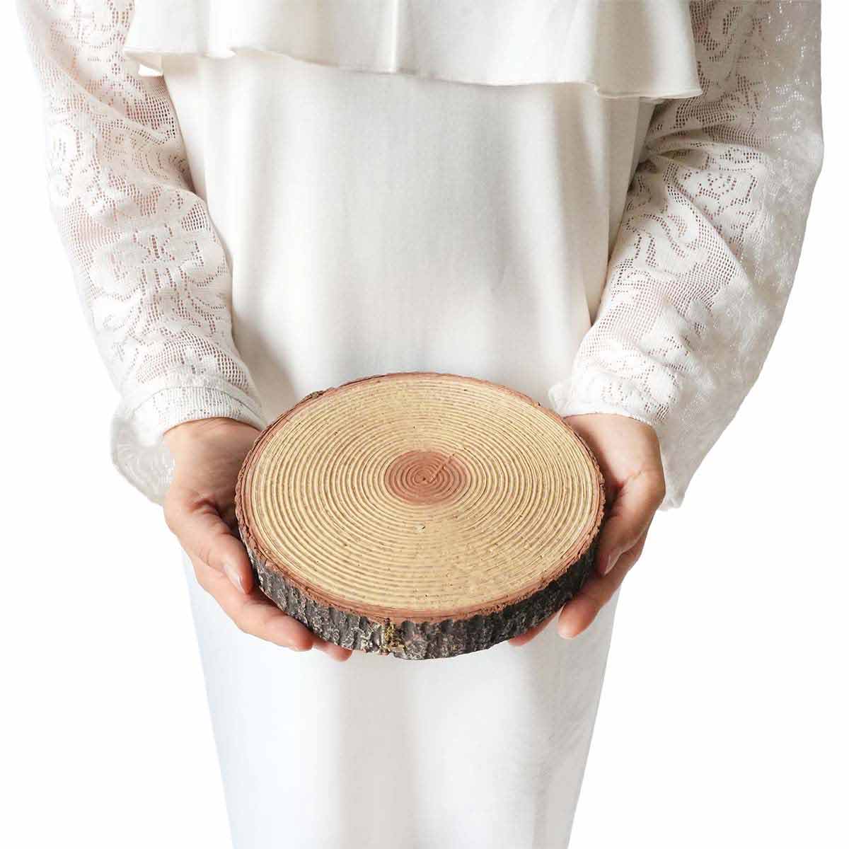 ★53-44-7-1 切り株オブジェ 切り株(直径18×高さ2.5cm)