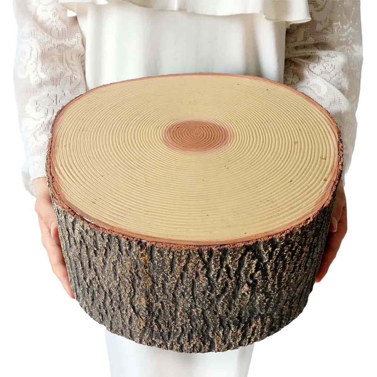 ★53-44-7-4 切り株オブジェ 切り株(直径28×高さ13cm)