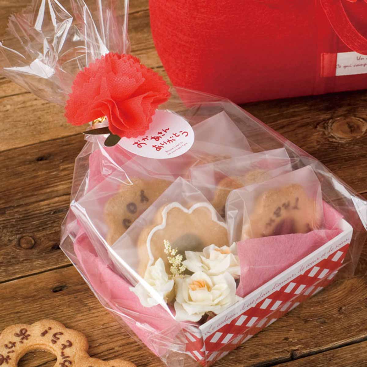 ★53-50-1-1 10個 ワイヤータイ 母の日(カーネーション)