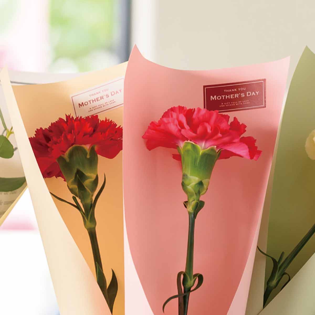 ★53-52-3-16 母の日ギフトシール(ワイン/ホワイト)