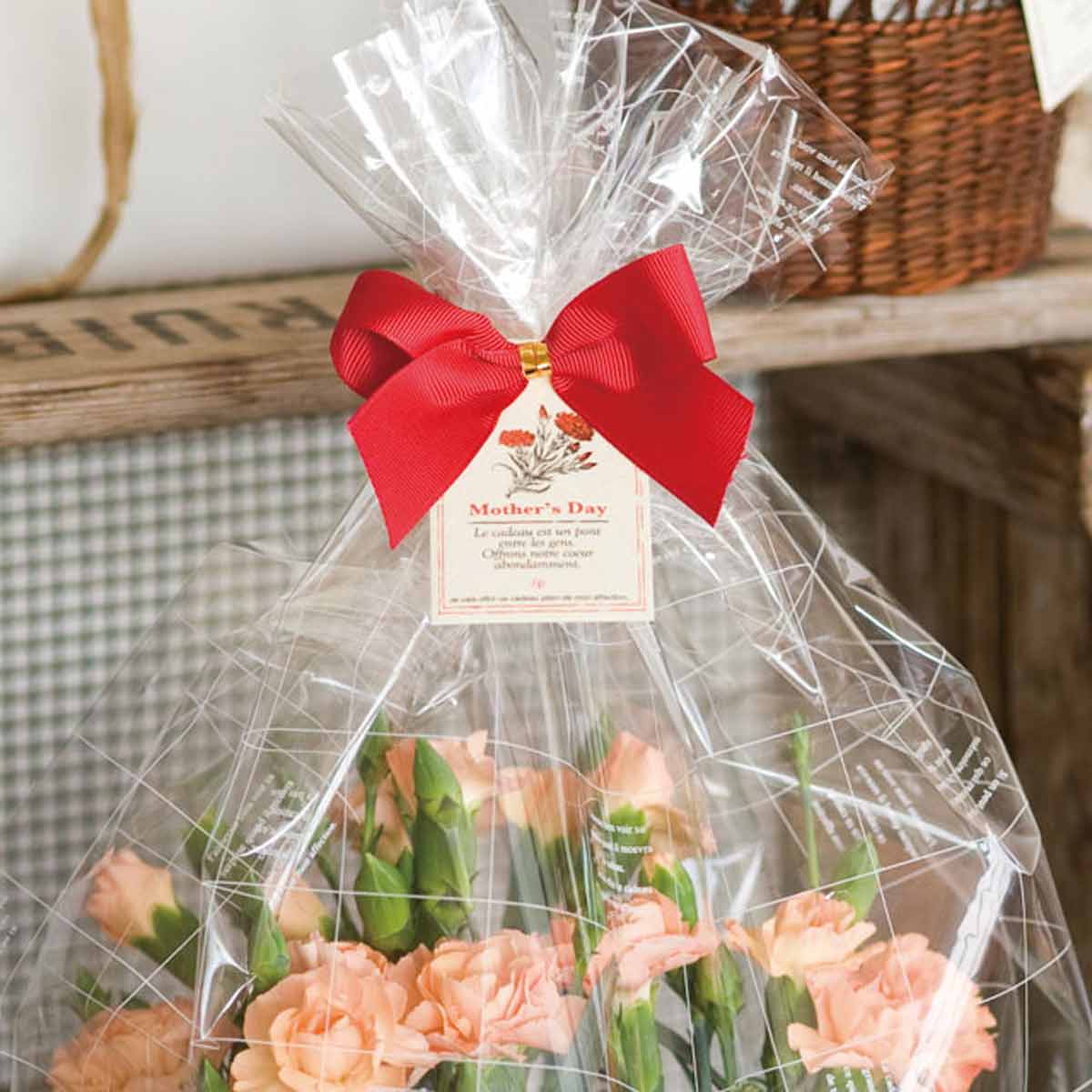 ★53-50-1-3 10個 ワイヤータイ 母の日(マザーズデー)