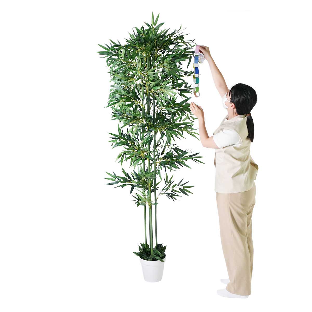 ★55-1-2-1 七夕笹バンブー高さ210cm (人工観葉植物)
