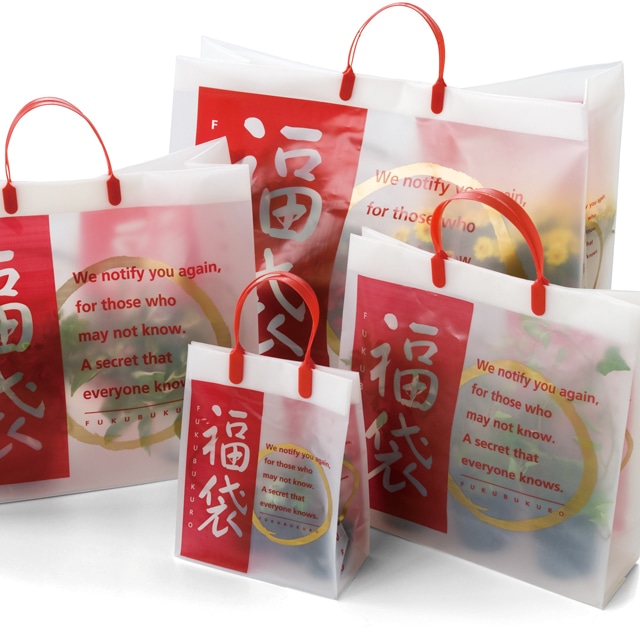 ★58-157-1-6 福袋 フロストバッグ幅35×奥行12×高さ35cm