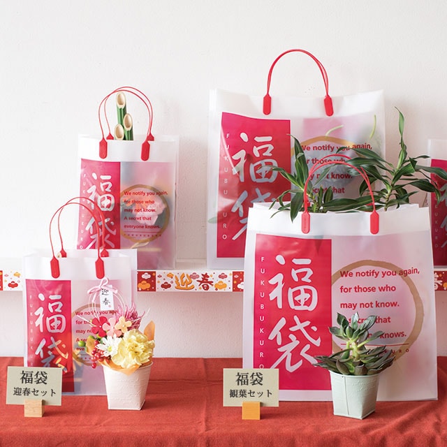 ★58-157-1-6 福袋 フロストバッグ幅35×奥行12×高さ35cm