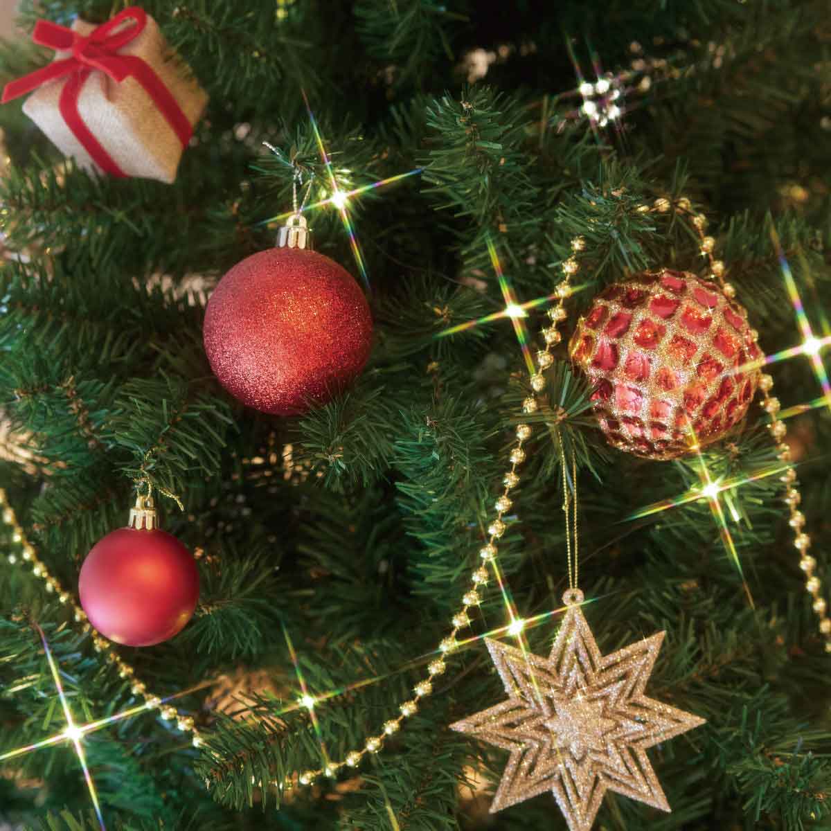 ★58-13-2-2 ウッドポットクリスマスツリーセット レッド高さ180×幅100cm