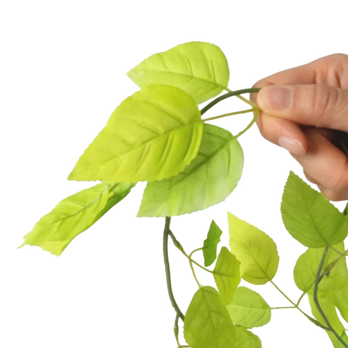 ★53-22-4-1 グリーンリーフガーランド