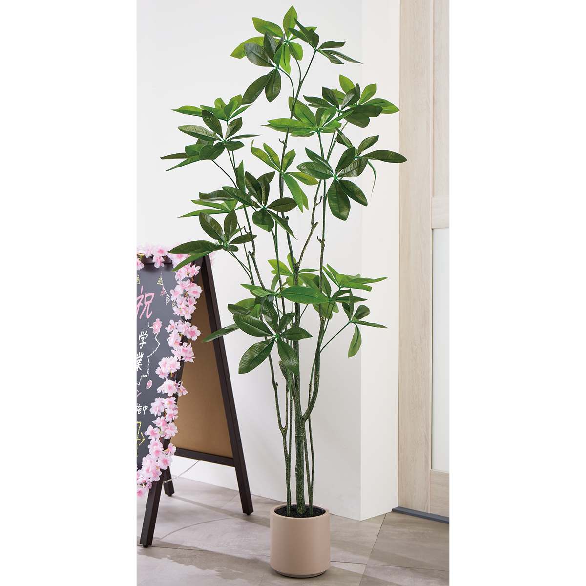 ★53-22-10-1 フェイクグリーン H150cm (人工樹木)パキラ