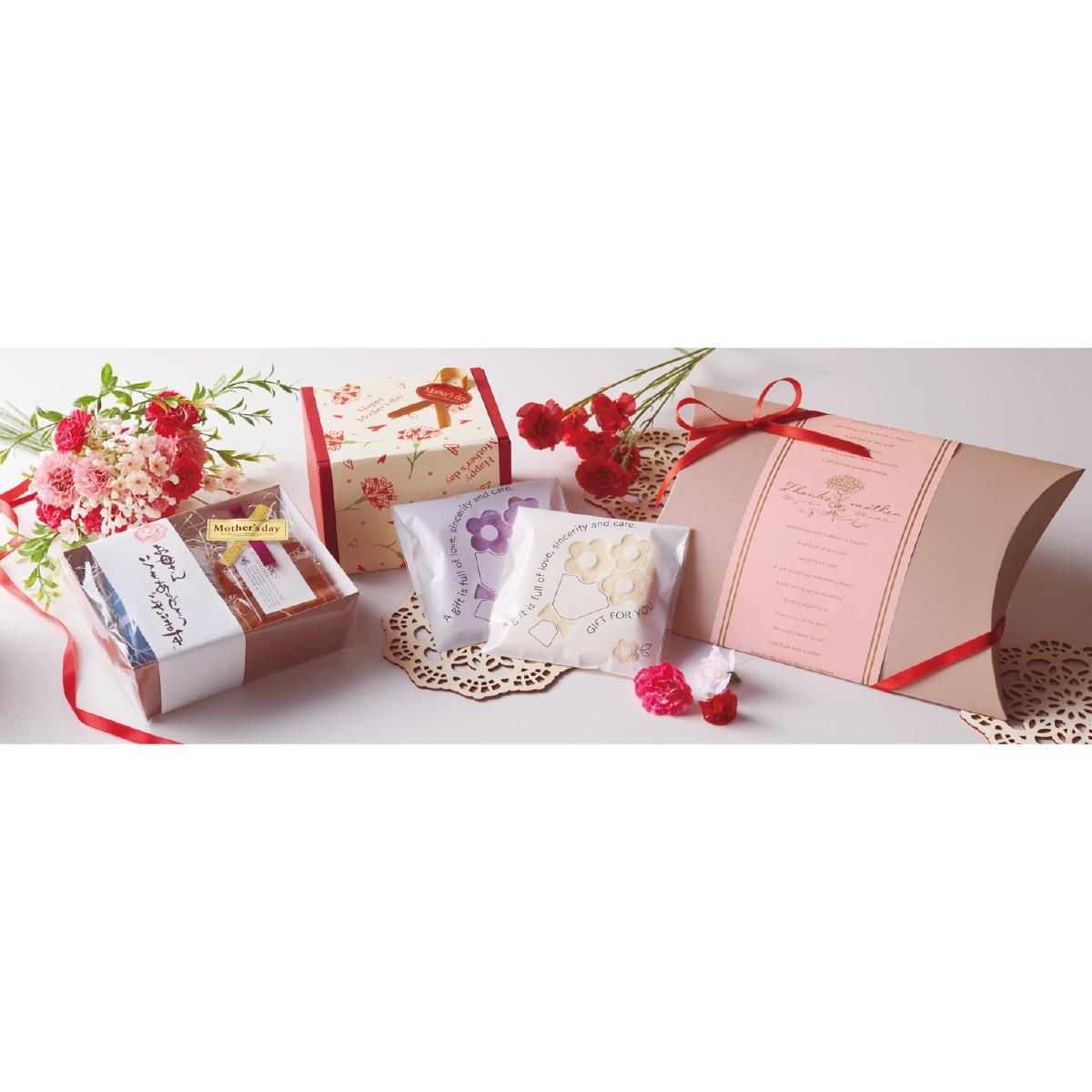 ★53-50-8-1 掛け紙 母の日(筆文字)