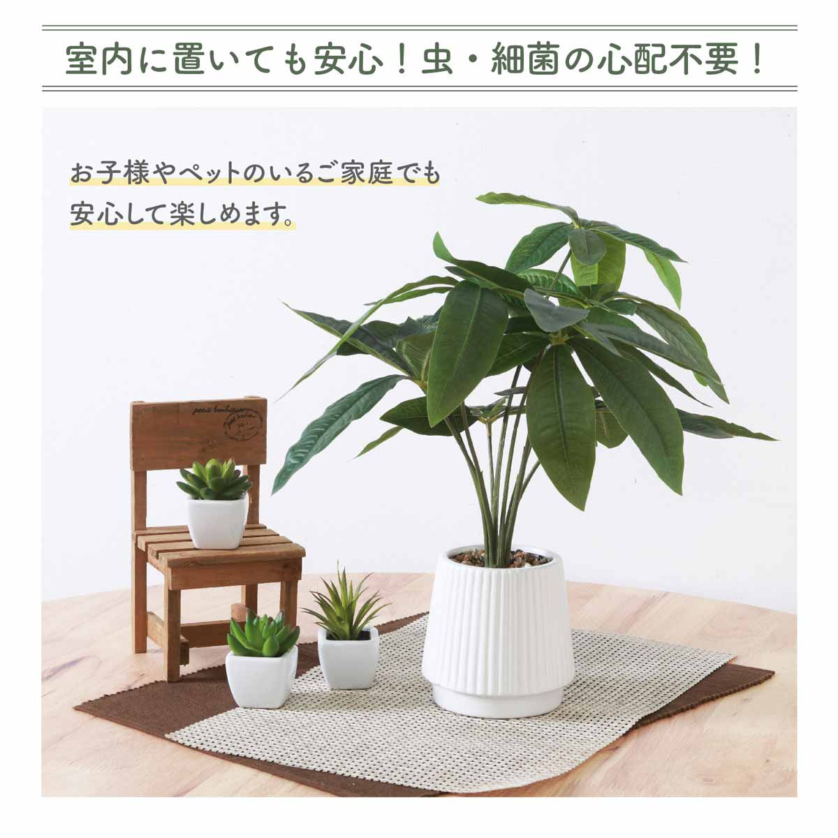 ★53-22-9-1 フェイクグリーン セラミックポット(パキラ)