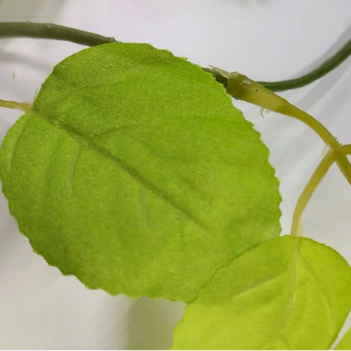 ★53-22-4-1 グリーンリーフガーランド