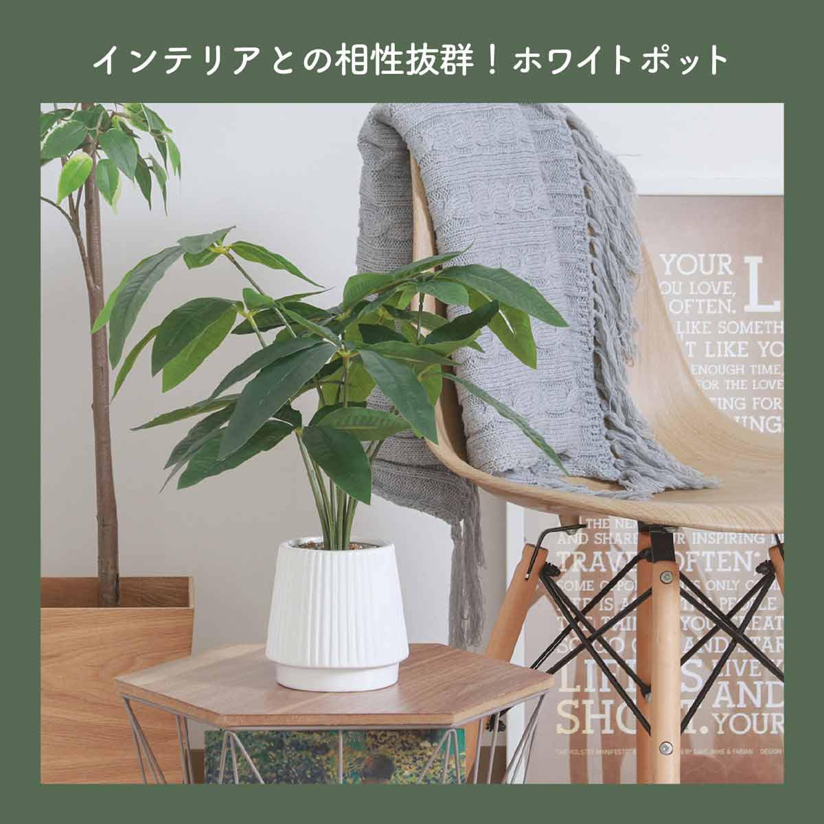 ★53-22-9-1 フェイクグリーン セラミックポット(パキラ)