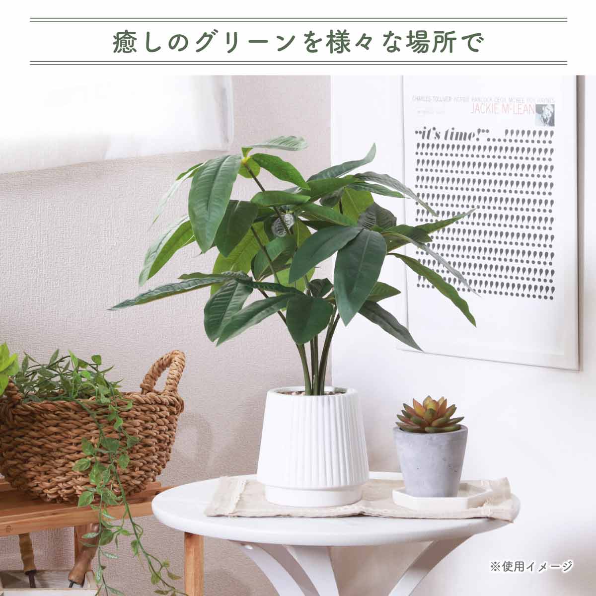 ★53-22-9-1 フェイクグリーン セラミックポット(パキラ)