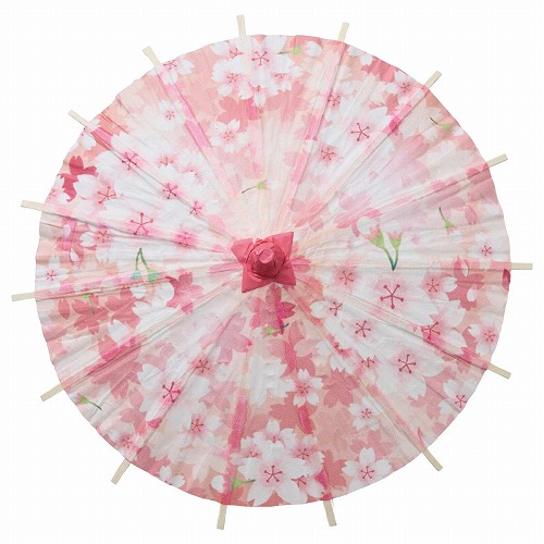 ★53-2-6-1 ディスプレイ用和傘(ミニ)