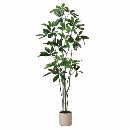 ★53-22-10-1 フェイクグリーン H150cm (人工樹木)パキラ