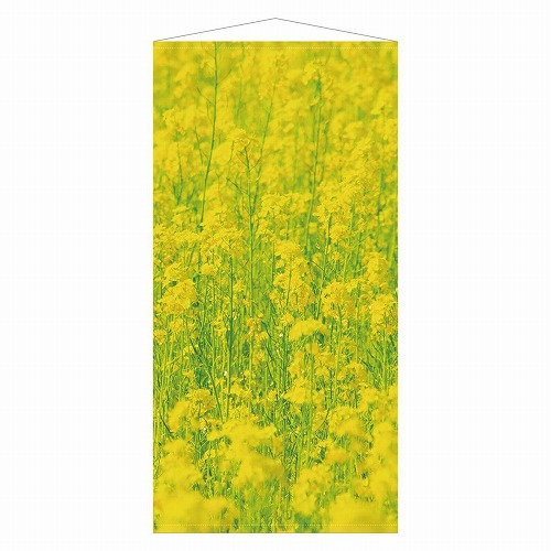 ★53-26-3-1 タペストリー 菜の花