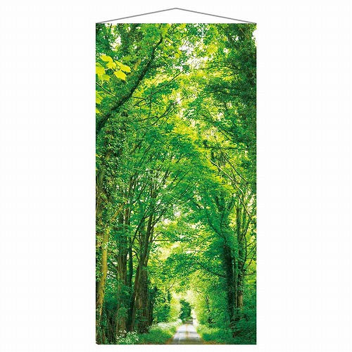 ★53-26-4-1 タペストリー 新緑並木【防炎加工】