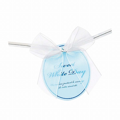 ★53-42-10-2 10個【HEADS】リボン付きワイヤータイ ホワイトデー(オーガンジー)