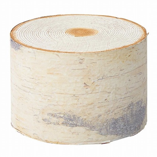 ★53-44-6-3 切り株オブジェ 白樺(直径15×高さ10.5cm)