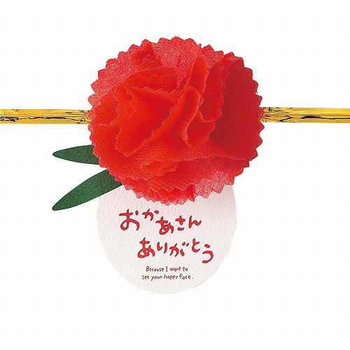 ★53-50-1-1 10個 ワイヤータイ 母の日(カーネーション)