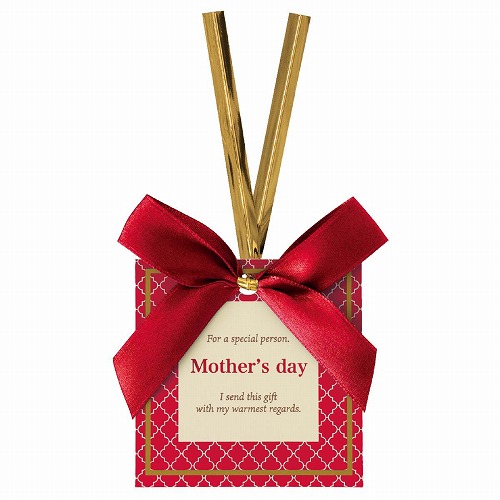 ★53-50-1-5 10個 ワイヤータイ 母の日(幾何学模様)