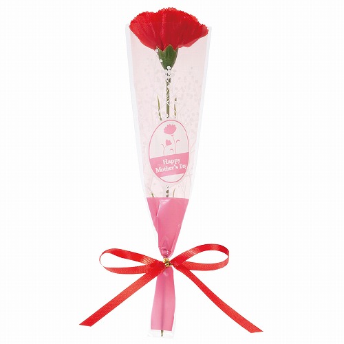 ★53-55-6-1 20本 カーネーションリボンラップ巻(長さ20.5cm)