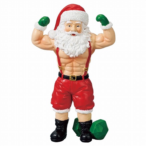 ★58-104-6-2 サンタマッソーダブルバイセップス