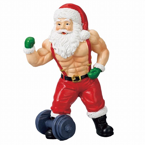 ★58-104-6-3 サンタマッソーバイセップス