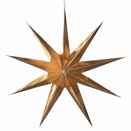 ★58-120-5-3 ポイントスターハンガー大 ゴールド