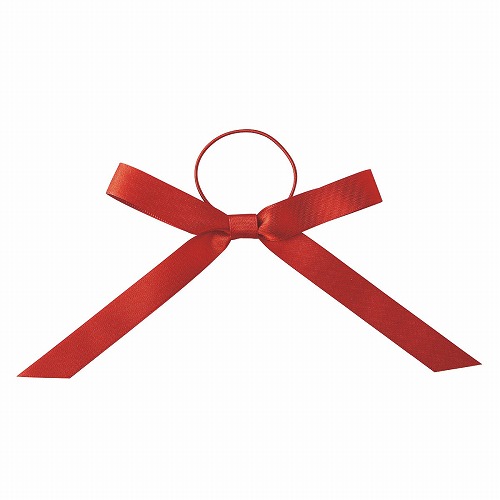 ★58-149-1-1 ギフトバッグ用リボンゴムレッド