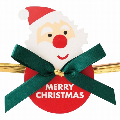 ★58-150-1-1 10個 クリスマスワイヤータイサンタ