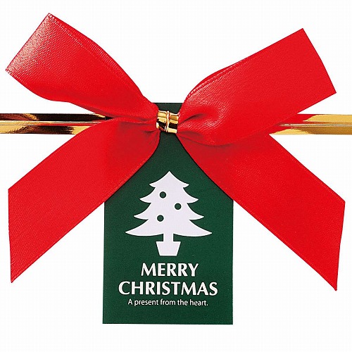 ★58-150-1-3 10個 クリスマスワイヤータイレッドリボン