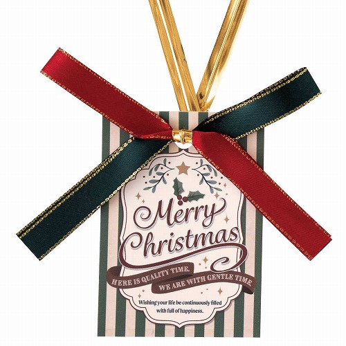 ★58-150-1-5 10個 クリスマスワイヤータイアメリカン