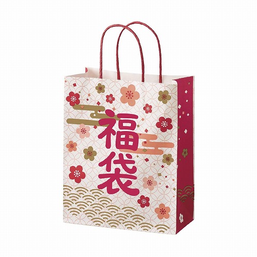 ★58-300-15-1 50枚 福袋 梅(20×10×25cm)