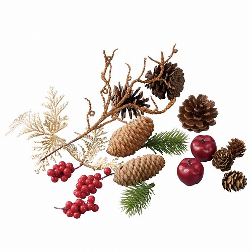 ★58-50-8-1 ミックスベリーパック レッド