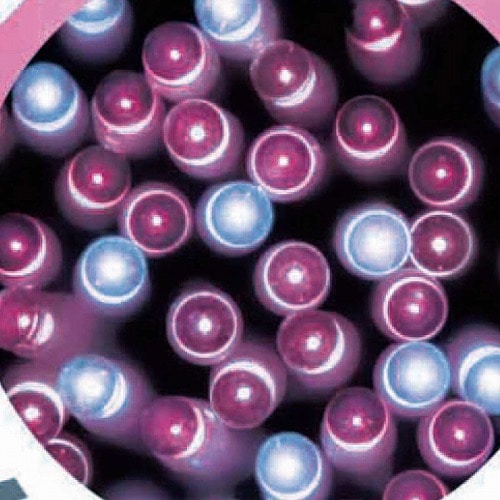 ★58-59-1-9 連結可LEDイルミネーションストレートライト 100球 ピンクグラデーション