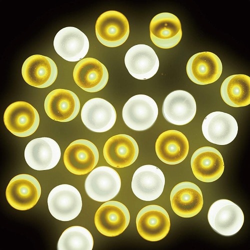 ★58-60-3-4 連結可LED100球イルミネーションストレートライト シャインレモネード