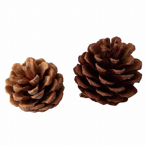 ★58-98-6-1 ナチュラルパーツセットナチュラル松かさ