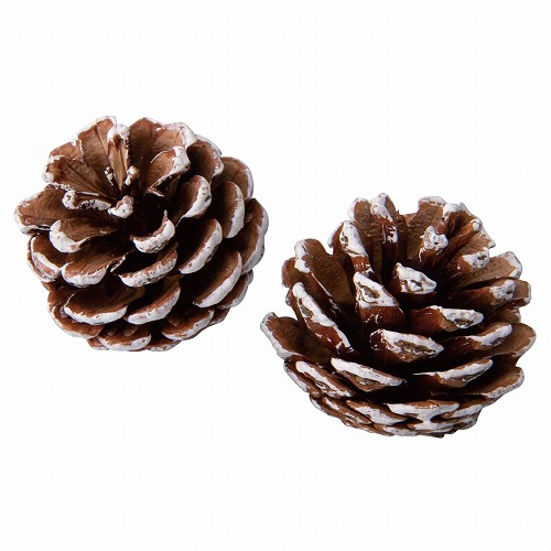 ★58-98-6-2 ナチュラルパーツセットスノー松かさ