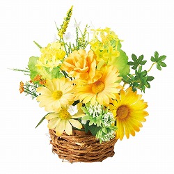 43-14-4-1 ؂̉ԐJSAW()