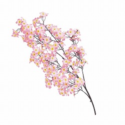 43-2-1-1 VN}Zbg() 110cm 3{g