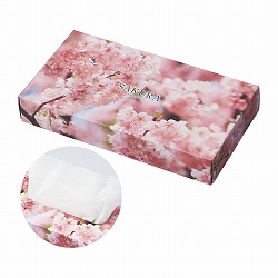 43-27-9-1 100 SAKURA eBbV