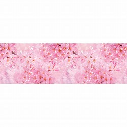 43-29-18-1 rj[ J 60cm×25m
