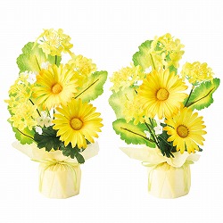 ★53-15-4-1 2個 菜の花ラップセット