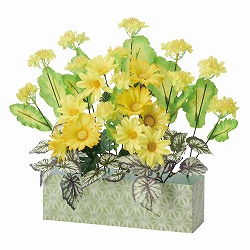 ★53-15-5-1 デラックス菜の花プランター