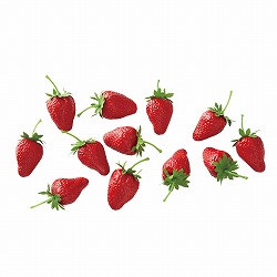 ★53-19-9-1 いちご12個セット(造花)