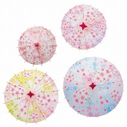 ��53-2-6-1 �f�B�X�v���C�p�a�P�i�~�j�j