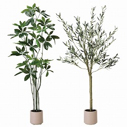 ��53-22-10-1 �t�F�C�N�O���[�� H150cm�@(�l�H����)